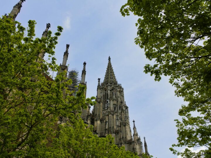 Catedral de Ulm